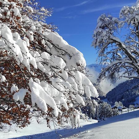 L'Echappee Belle En Montagne - Site Location-Chalet Mieussy Dış mekan fotoğraf