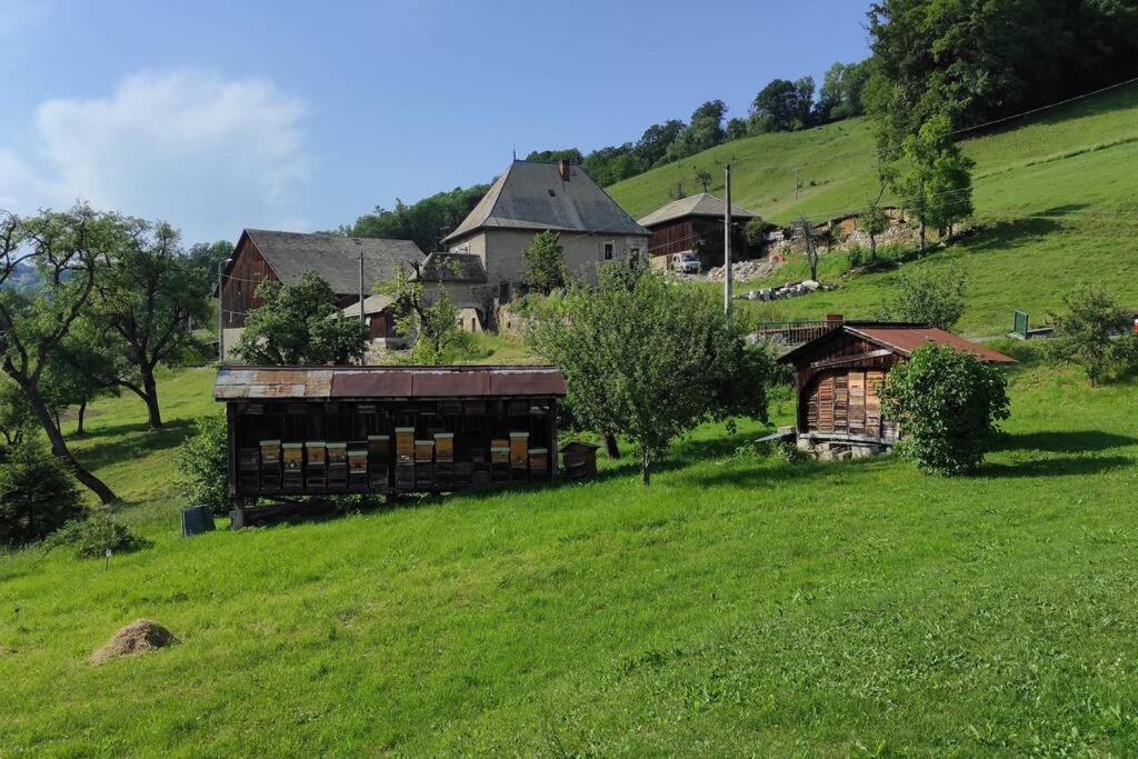 L'Echappee Belle En Montagne - Site Location-Chalet Mieussy Dış mekan fotoğraf