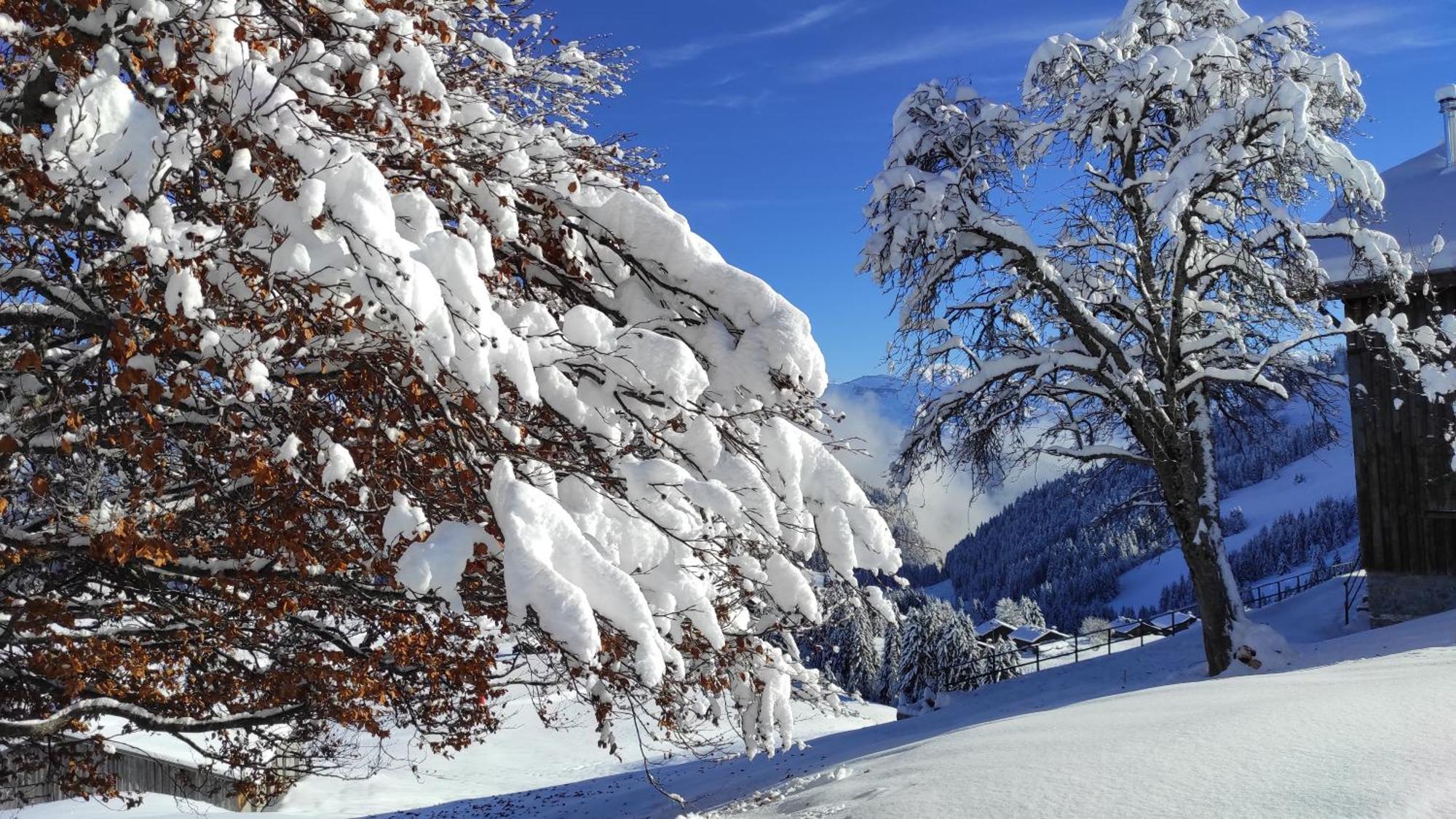 L'Echappee Belle En Montagne - Site Location-Chalet Mieussy Dış mekan fotoğraf