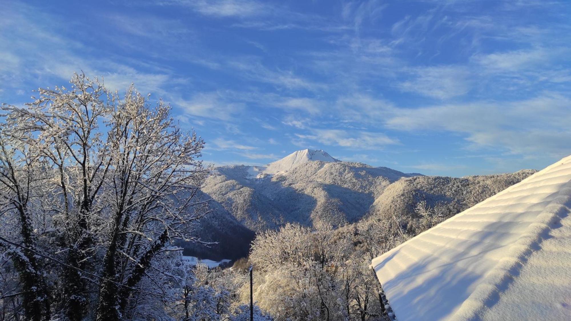 L'Echappee Belle En Montagne - Site Location-Chalet Mieussy Dış mekan fotoğraf