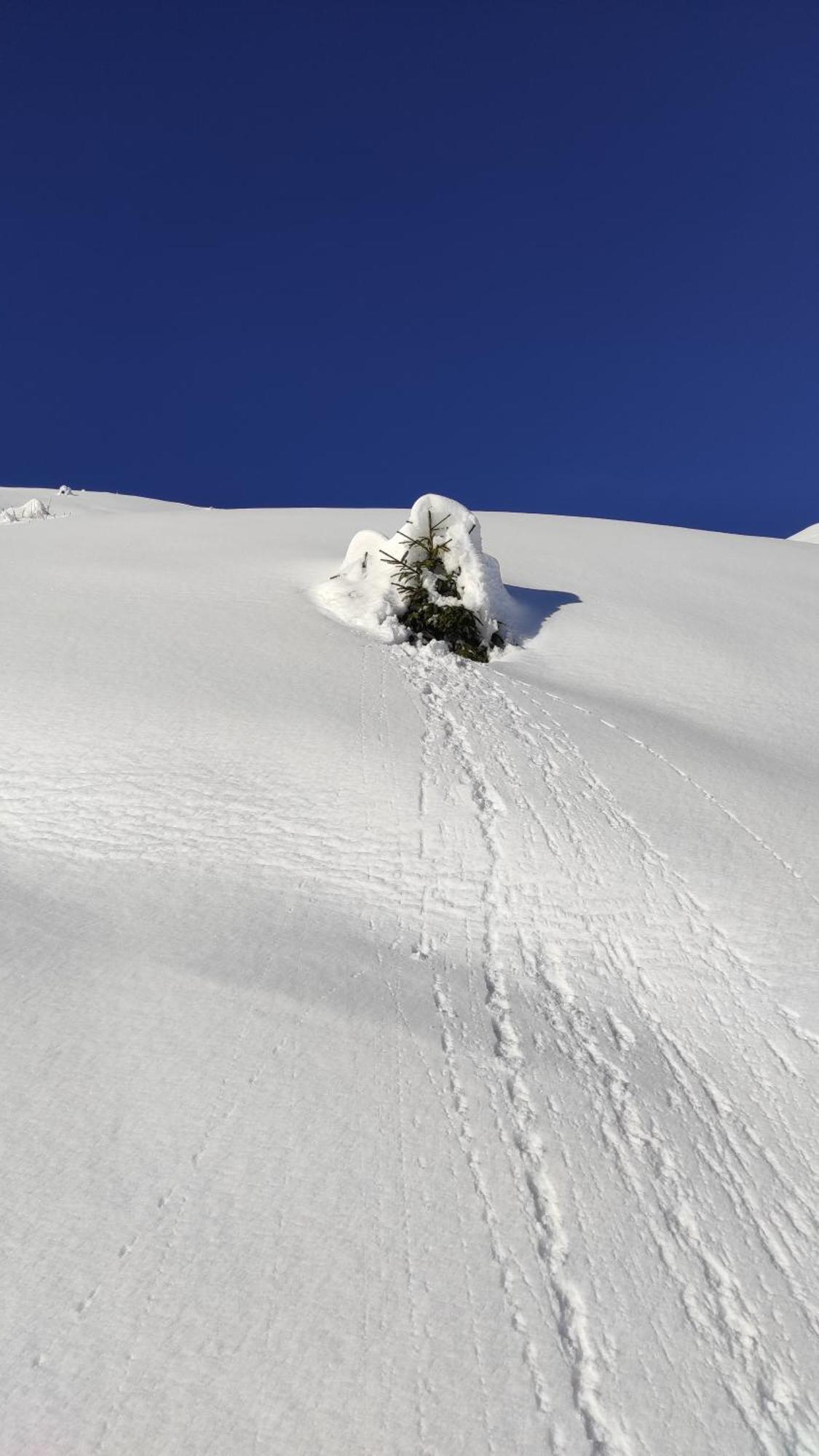 L'Echappee Belle En Montagne - Site Location-Chalet Mieussy Dış mekan fotoğraf